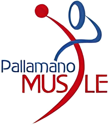 Logo A.S.D. Pallamano Musile 2006